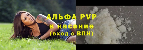 мдпв Осташков