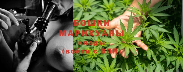 мдпв Осташков