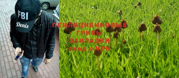 мдпв Осташков