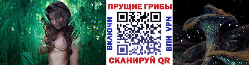 цены OMG онион Галлюциногенные грибы Magic Shrooms Нытва